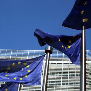 Photo: EU flags