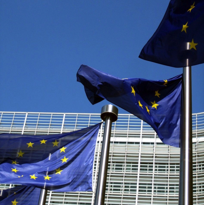 Photo: EU flags